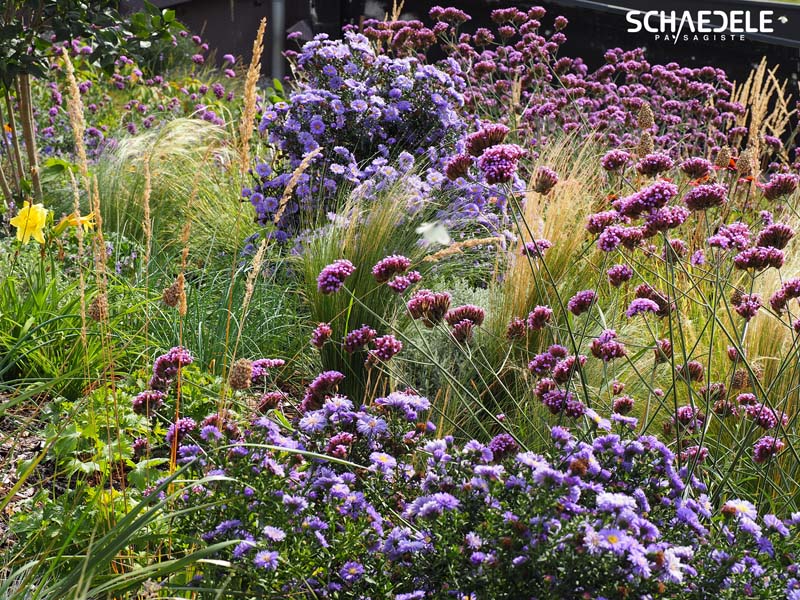 Création de jardin Colmar