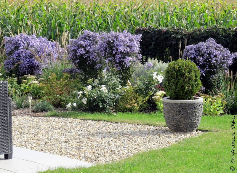 Création de jardin Mulhouse